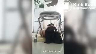 国产黄金调教
