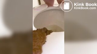 Huge Lid Mess