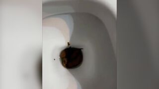 Daily Pressure From Pretty Assholes