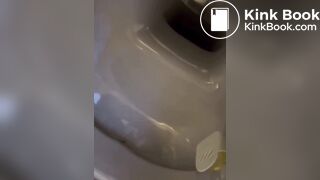 Hot girl shit in toilet - video 2
