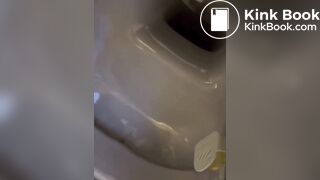 Hot girl shit in toilet - video 2
