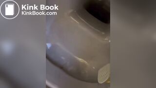 Hot girl shit in toilet - video 2