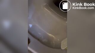 Hot girl shit in toilet - video 2