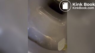 Hot girl shit in toilet - video 2