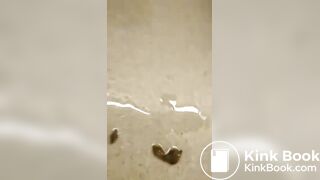 poop on bathroom floor