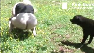 She shits in the field