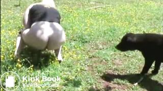 She shits in the field