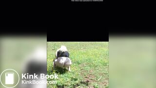 She shits in the field