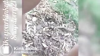 Hot girl shitting outdoors - video 18