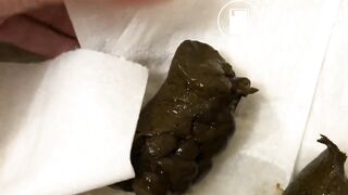 One of my favorite scat girl hot shitting - video 10
