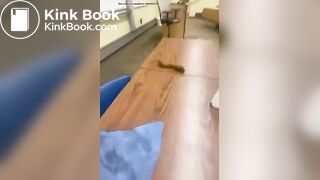 Student taking a shit on teachers desk