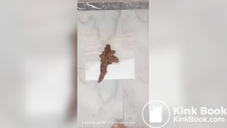 Scat 358