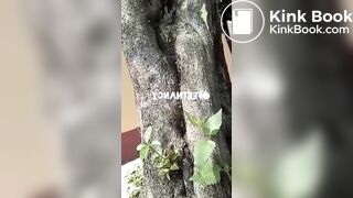 One of my new favorite scat videos - video 45