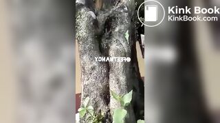 One of my new favorite scat videos - video 45