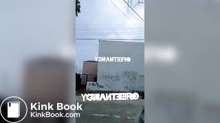 One of my new favorite scat videos - video 45