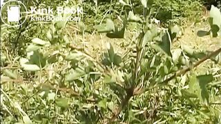 Sexy ass scat - video 3