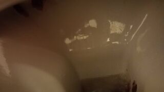 A sad surprise for the toilet