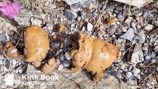 Hot girl shitting outdoors - video 5