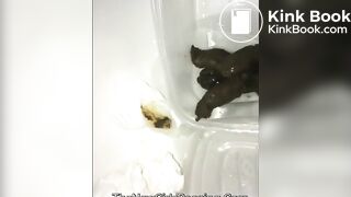 Hot fart and shitting compilation