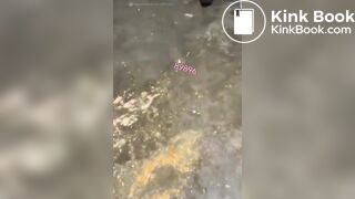 Husband teaches useless wife