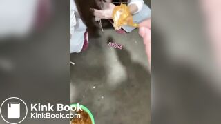 Husband teaches useless wife