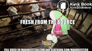 Fresh from the source - collecting cowshit
