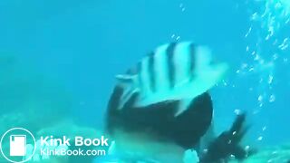 Pooping in the ocean