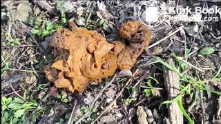 Two hot Italian lesbians shitting outside