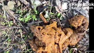 Two hot Italian lesbians shitting outside