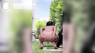 Paranoid pooper