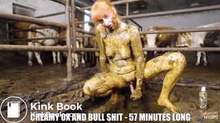 7 new videos in cowshit