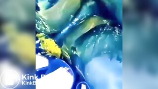 BlueGirl70 Poop Upskirt