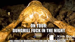 ON TOUR: Massive Dunghill at night