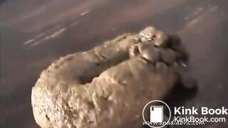 Ana dumps a huge log on table