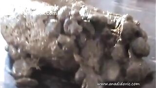 Ana dumps a huge log on table