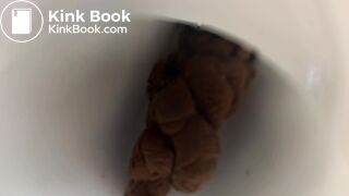 Pooping 535 - Walk, Dump, and Plugged Toilet Dive