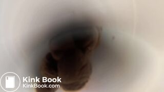 Pooping 535 - Walk, Dump, and Plugged Toilet Dive