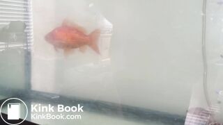 Pooping 495 - Walk and Dump