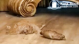 Pooping 409 - Guest Room Floor, 2 of 2