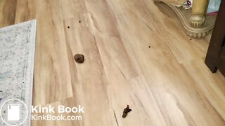 Pooping 330 - Walking the Poop - 2 of 2