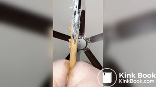 Pooping 238 - Shit on a Stick X-Rayed