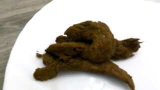 Piles of my Poop 3