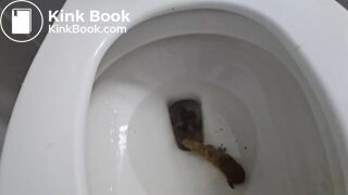 Piles of my Poop 3