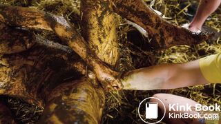 Alice Maze Farm Gangbang Instructor Gangbang in cowshit