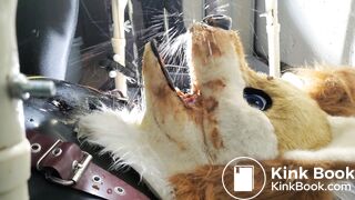 Gay Toilet Fox Fed