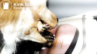 Gay Toilet Fox Fed