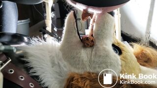 Gay Toilet Fox Fed